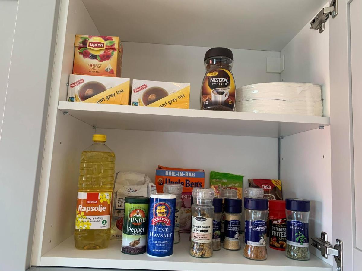 Notodden Sentrum Apartment No 6 Εξωτερικό φωτογραφία